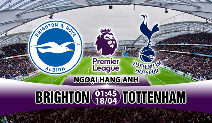 Link sopcast: Brighton vs Tottenham, 01h45 ngày 18/4