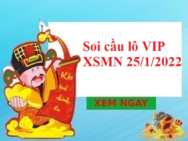 Thống kê lô VIP XSMN 25/1/2022 thứ 3