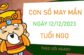 Con số may mắn tuổi Ngọ 12/12/2023 – Hôm nay đánh con gì?