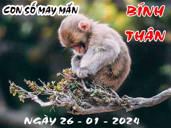 Nhận định con số may mắn tuổi Bính Thân ngày 26/1/2024