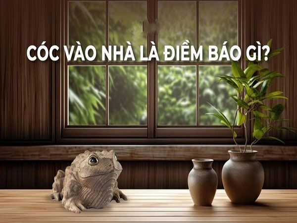 Cóc vào nhà đánh con gì xác suất trúng 99%?