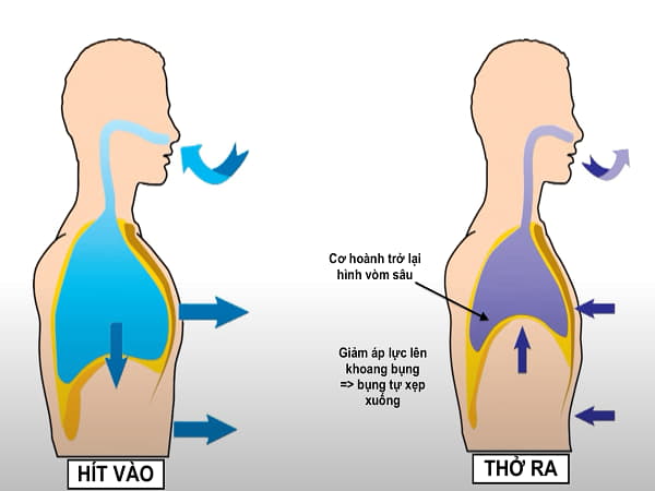 Cách hít thở trong yoga để tập luyện hiệu quả đơn giản